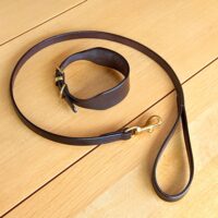 3/4" Lurcher Collar & Lead