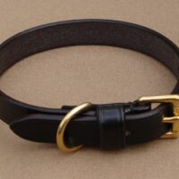 3/4" Leather Dog Collar - 14" Neck Size